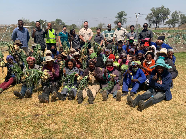 Trigon Mining Namibia invests in community garden at Kombat The Namibian